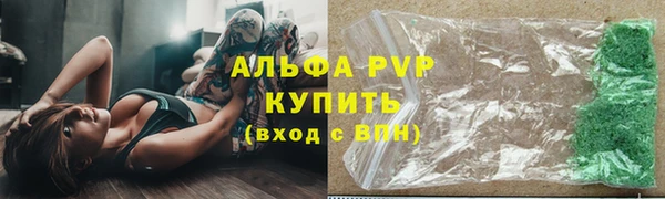 PSILOCYBIN Вязники