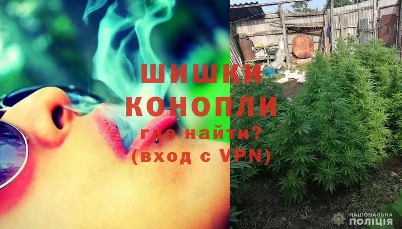 Шишки марихуана OG Kush  Ульяновск 